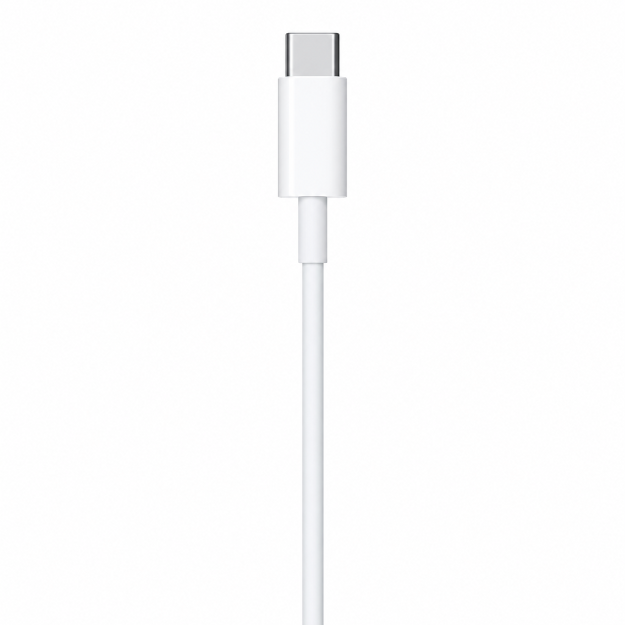 USB-C end